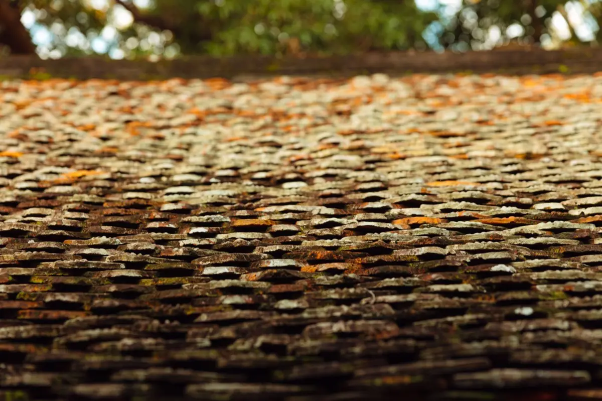 Aging shingle roof with moss growth and granule loss in Springfield, OR