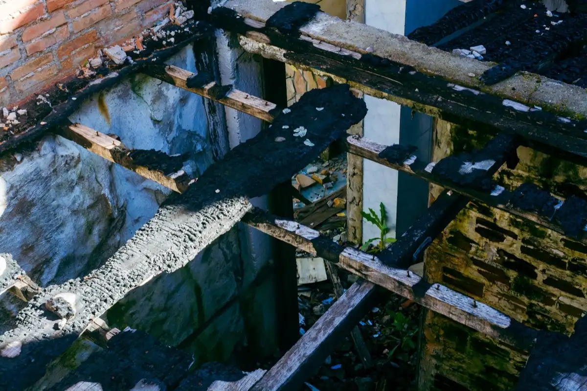 Roof Leak Repair in Springfield, OR